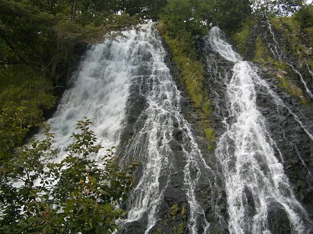 IMGP5453