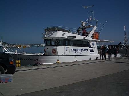 IMGP5487