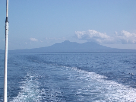 IMGP5485