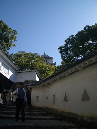 IMGP5645