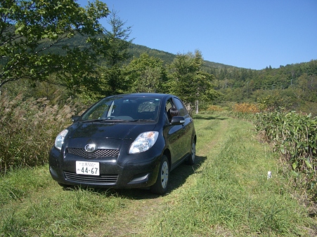 IMGP5586