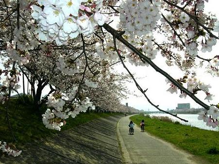 今川サイクリングロード