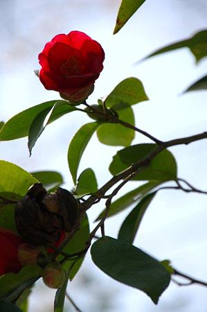 DSC_0074