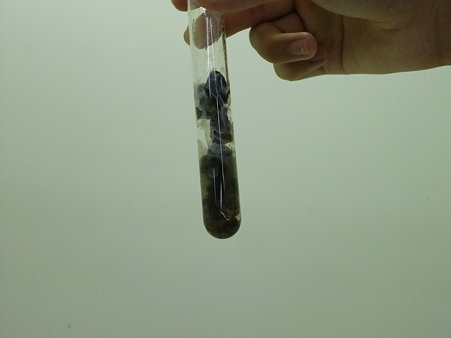 CIMG0391