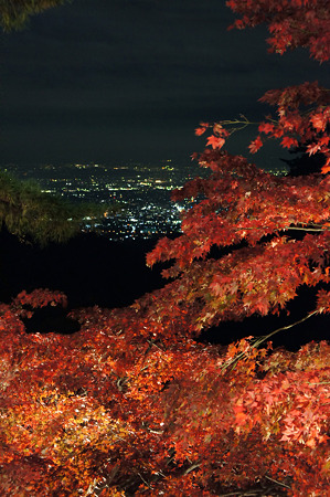 大山寺の紅葉と夜景