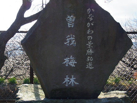 R0011896