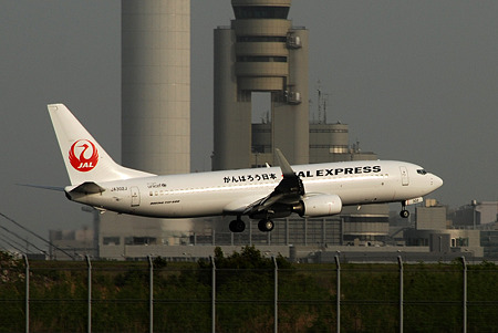 JAL 鶴丸塗装