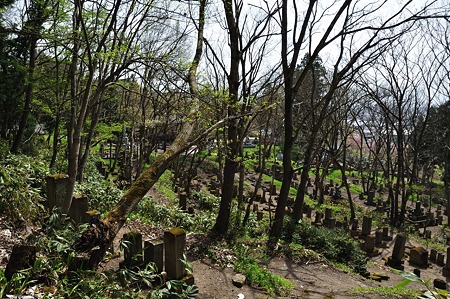 1005051357_DSC_5663