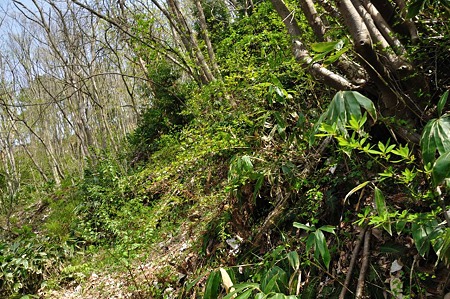 1005051411_DSC_5671