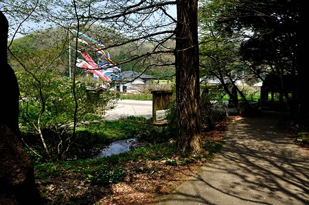 1005061042_DSC_6355