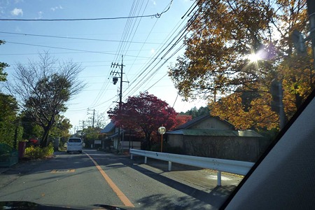 1011230832_P1710577