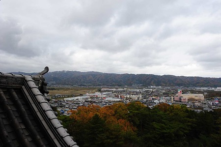1011230954_DSC_4212