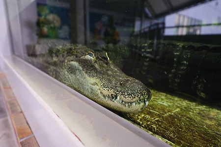 1011241445_DSC_5605