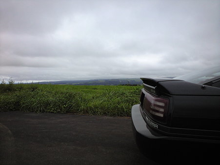 CA390580
