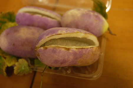 P1000175