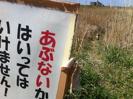 写真 5