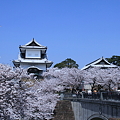 青空と満開のソメイヨシノ　石川門