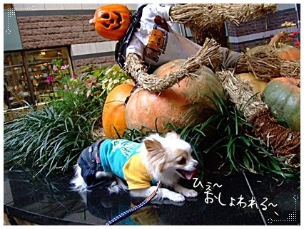 DSCF1204