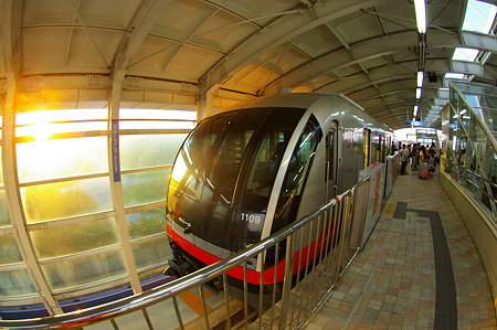 IMGP7950