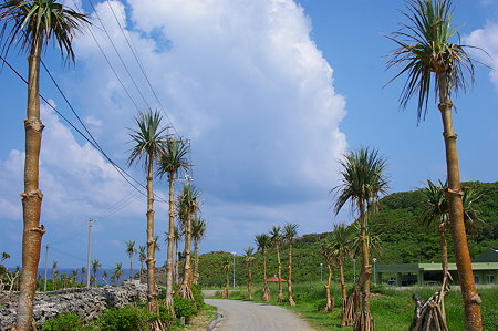 IMGP8353
