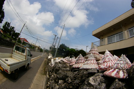 IMGP0532
