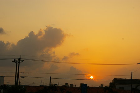 IMGP6858