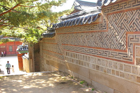 IMGP0828