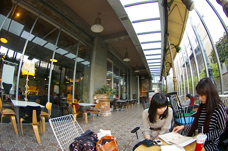 IMGP0891