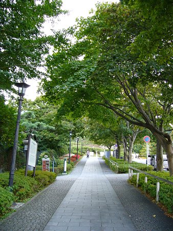 P1020751