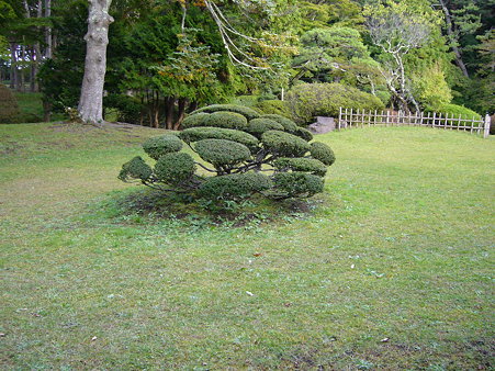 P1020757