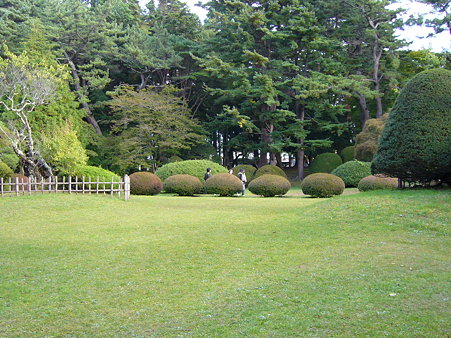 P1020758 P1020758