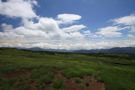 苗場山頂付近の楽園04
