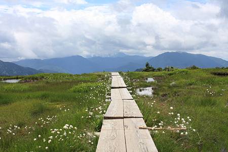 苗場山頂付近の楽園05