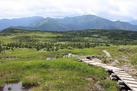 苗場山頂付近の楽園07