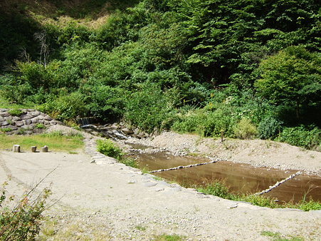 ヤマメのつかみ取り用小川