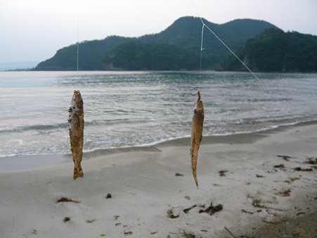 P1000517