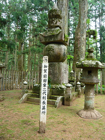 P1000594