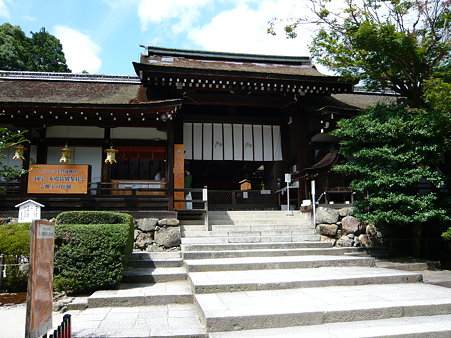 P1000994