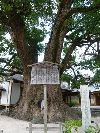 2009年九州旅行 022