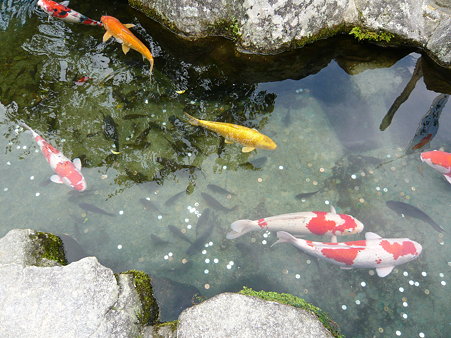 2009年九州旅行 024