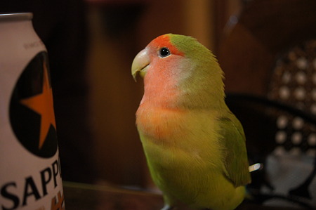 DSC00048