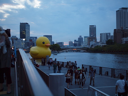 E-620_306