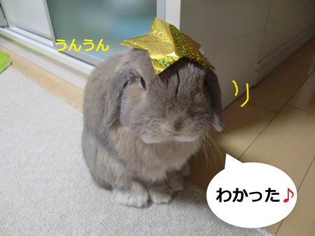 七夕2