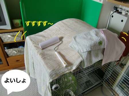 そうじ1
