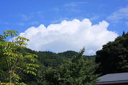 2009090501