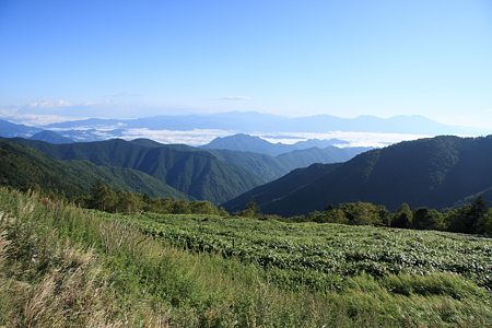 2009091322