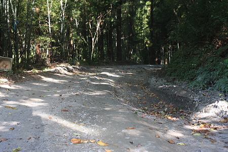 2009092032