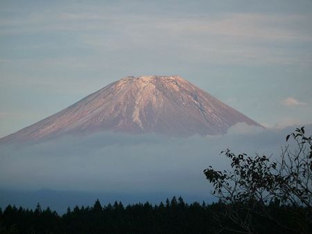 P1010865