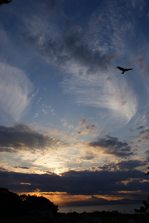 空の羽根に見守られて