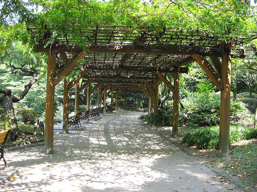 A path with wisteria trellis at Hibiya Park